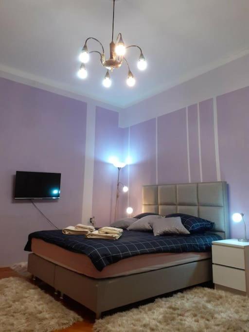 Apartment Forza *