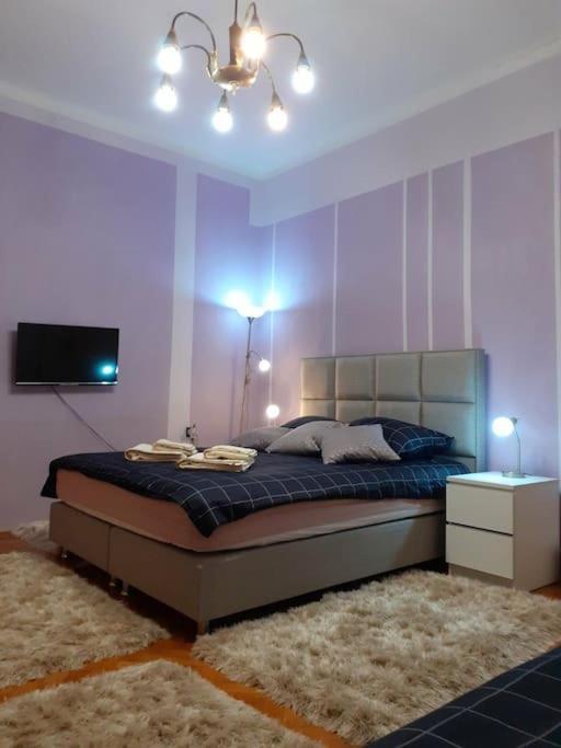 Apartment Forza *