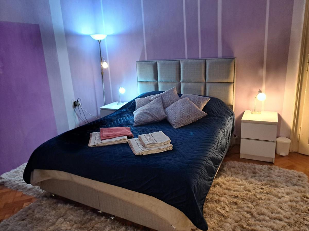 Apartment Forza *